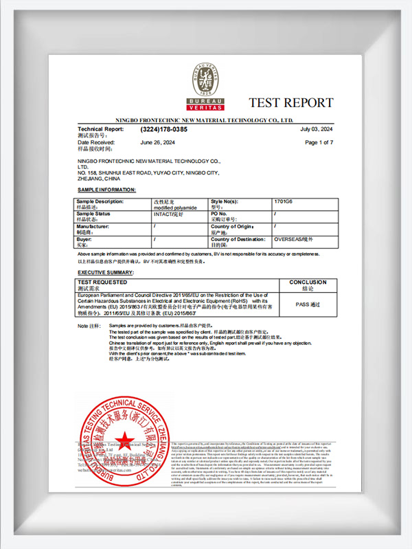 1000 NAT -sarjan testiraportti